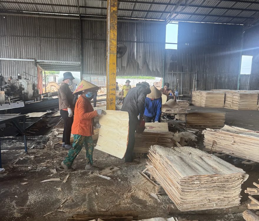 Stacked veneer sheets &mdash; drone angle